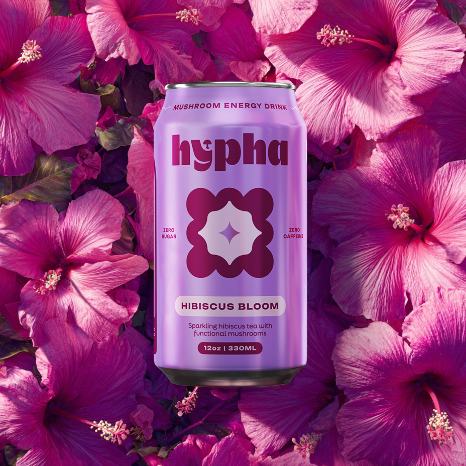 Hibiscus Bloom